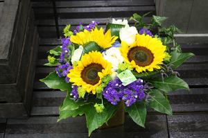 BOUQUET TOURNESOL